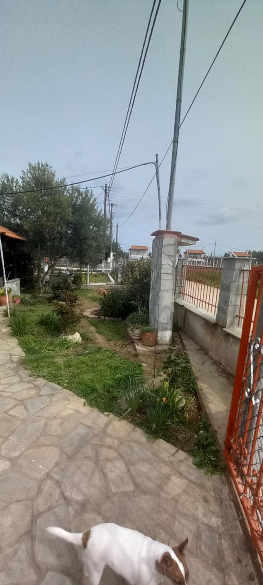 Villa Julia Nea Plagia Dış mekan fotoğraf